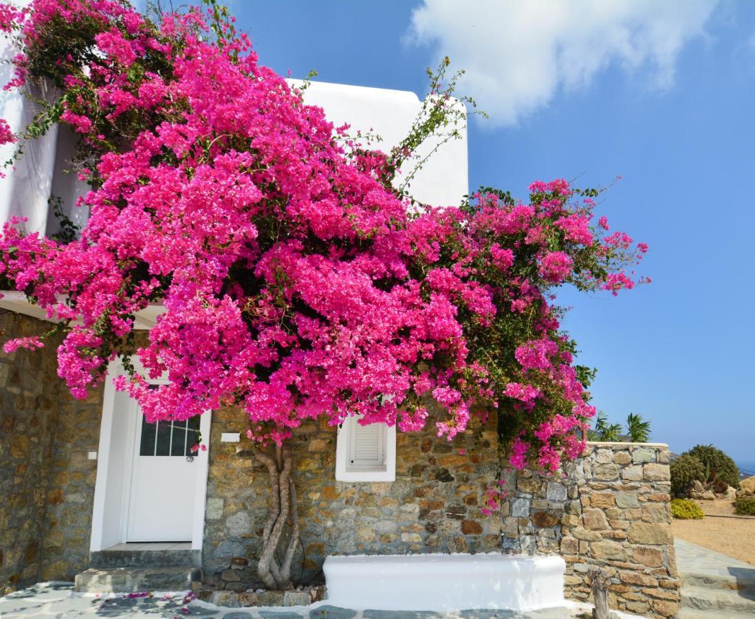Casa de férias Sea Breeze Mykonos